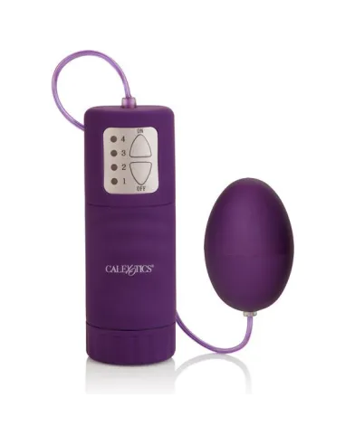 CALEX POCKET HUEVO VIBRADOR MORADO 4V